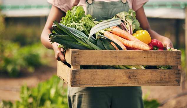 Formulas for Food Security